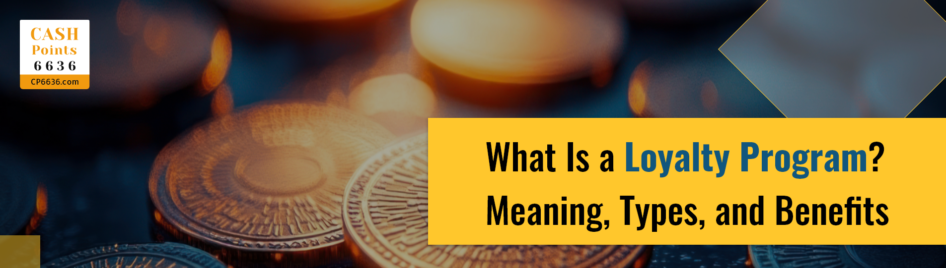 Cashback Loyalty Programs